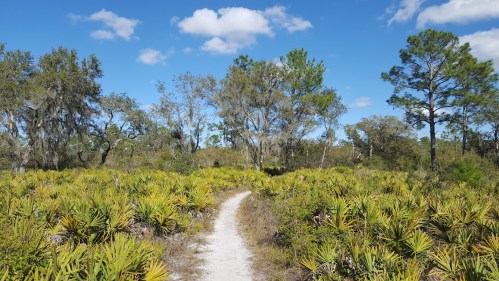 A winding dirt path through a lush, green landscape with trees and blue sky dotted with clouds.