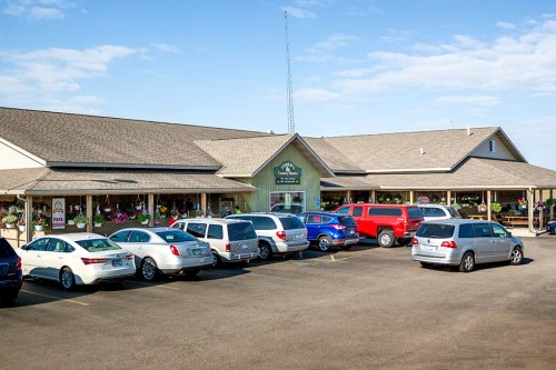 A large building with a green facade and a parking lot filled with various cars under a clear blue sky.