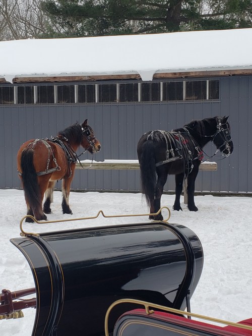 Two horses, one brown and one black, stand in the snow near a sleigh, with a barn in the background.