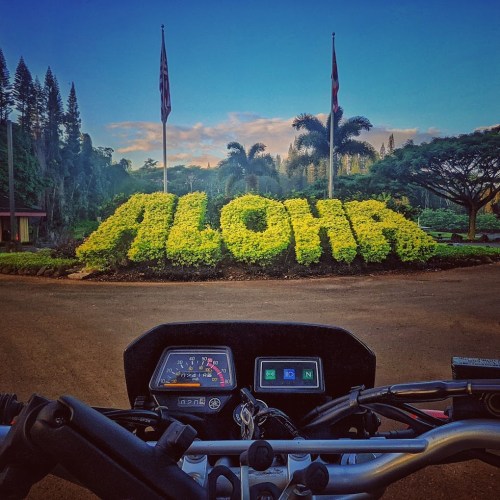 A view from a motorcycle dashboard of a "ALOHA" sign made of greenery, surrounded by trees and flags.