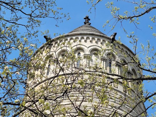 A stone tower with a rounded roof, partially obscured by blooming branches against a clear blue sky.