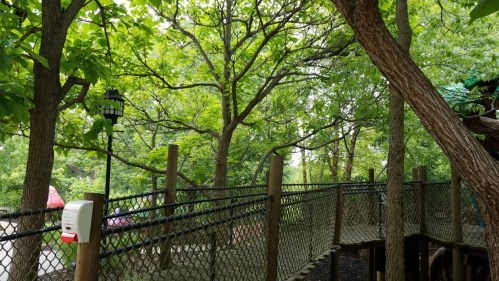 A wooden walkway surrounded by lush green trees and a lantern, leading through a peaceful outdoor area.