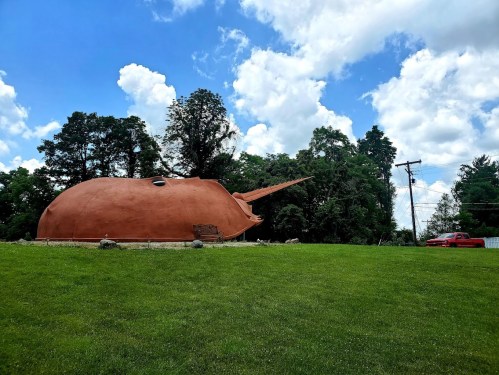 A large, whimsical building shaped like a narwhal, set against a blue sky with fluffy clouds and green grass.