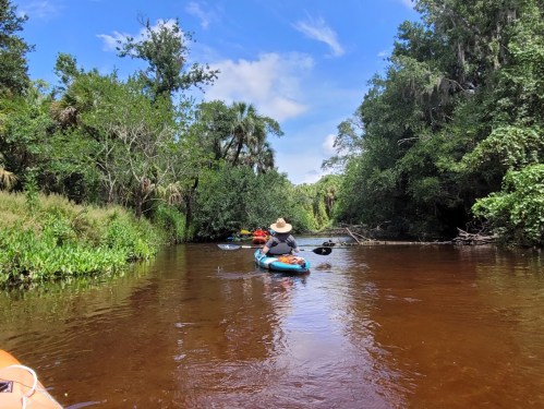 A group of kayakers paddles through a lush, green river surrounded by trees and blue skies.