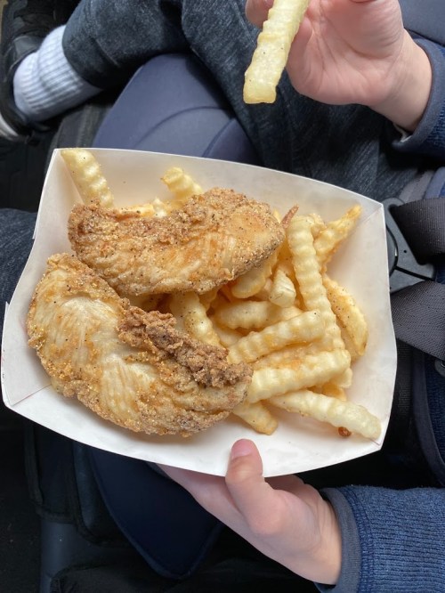 A person holding a tray of crispy fried fish fillets and crinkle-cut fries.