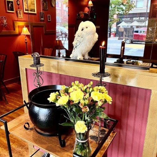 A cozy interior with a white owl, a black cauldron, and a vase of yellow flowers on a wooden table.