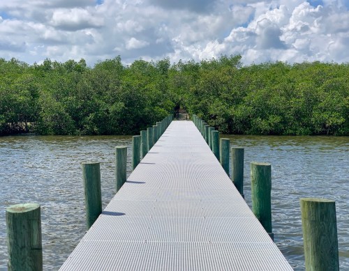 A wooden dock extends into a calm waterway, surrounded by lush green mangroves under a partly cloudy sky.