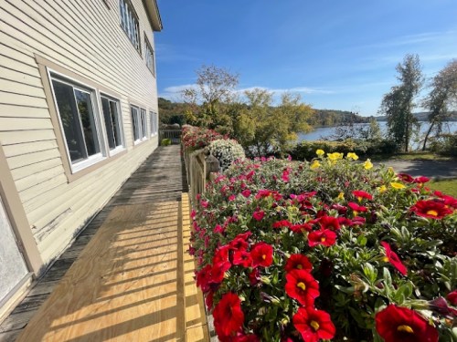 A sunny lakeside view with colorful flowers lining a wooden deck beside a house.