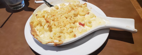 A creamy baked macaroni and cheese dish topped with golden breadcrumbs, served in a white dish on a plate.