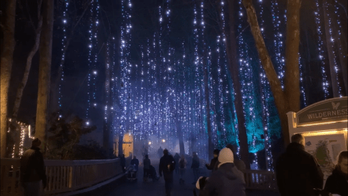 A pathway through a forest illuminated by hanging lights, with people walking and a misty atmosphere.