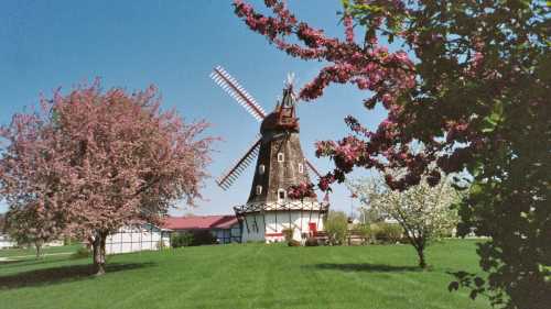 A picturesque windmill surrounded by blooming trees and lush green grass under a clear blue sky.