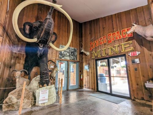 Interior of a rustic mine attraction featuring a large mammoth display and various mounted animal heads on wooden walls.