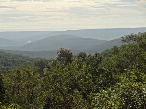 A scenic view of rolling green hills under a cloudy sky, with trees in the foreground and distant mountains.