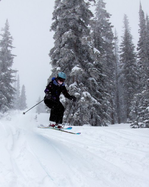 A skier jumps through fresh snow among tall, snow-covered trees on a cloudy winter day.