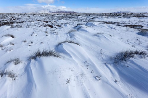 Snow-covered landscape with gentle undulations, sparse vegetation, and distant mountains under a blue sky.