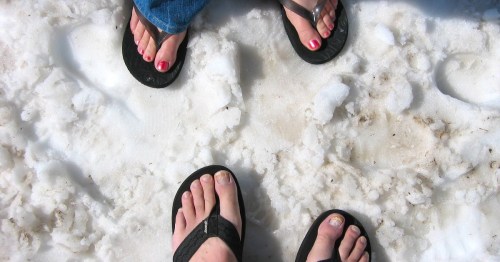 Three pairs of feet in flip-flops standing on a snowy surface, showcasing colorful toenail polish.