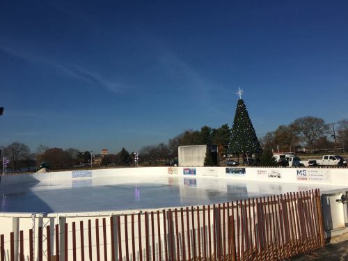 An empty ice skating rink with a large Christmas tree in the background under a clear blue sky.
