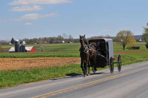 A horse-drawn carriage travels along a rural road, with fields and farm buildings in the background.