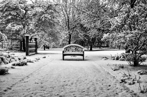 A snow-covered park scene featuring a bench surrounded by trees and a path, all blanketed in white snow.