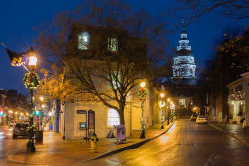 A quiet street at night, decorated for the holidays, with a historic building and a dome in the background.