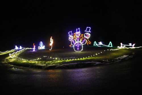 Colorful holiday lights decorate a circular lawn, featuring snowmen and festive shapes against a dark night sky.