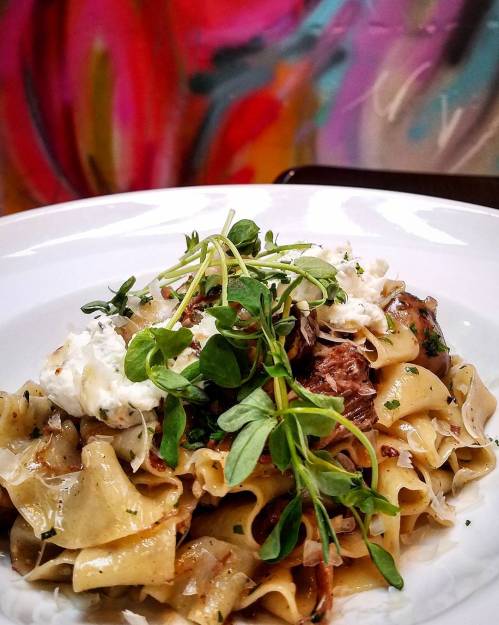A plate of pasta topped with herbs and cheese, set against a colorful abstract background.