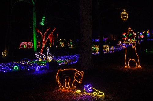 Colorful holiday lights depict a bear and other animals in a festive outdoor display among trees and decorations.