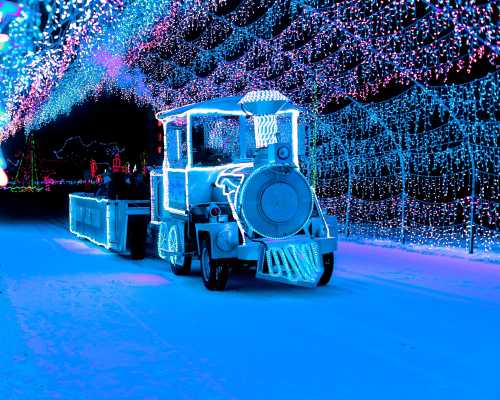 A brightly lit train made of lights travels through a colorful, illuminated pathway during a winter festival.