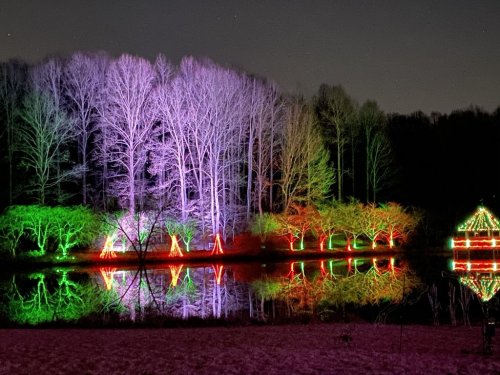 Colorful lights illuminate trees by a calm lake at night, reflecting vibrant hues on the water's surface.