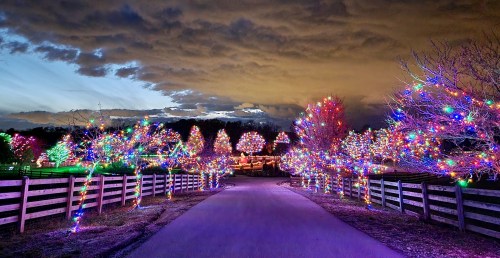 A festive pathway lined with colorful holiday lights on trees, under a dramatic cloudy sky.