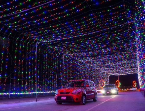 Cars driving through a colorful tunnel of holiday lights, creating a festive atmosphere at night.