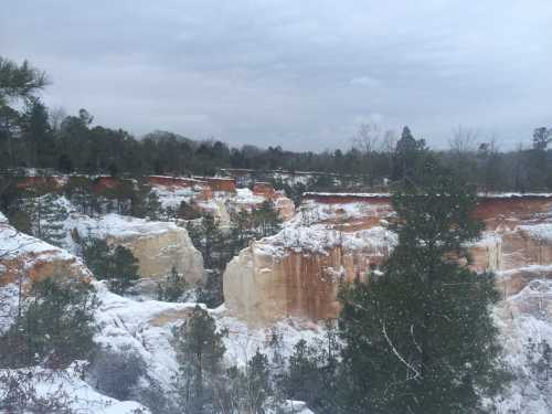 A snowy landscape of cliffs and trees, showcasing a canyon with layers of red and white rock under a cloudy sky.