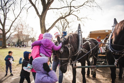 Children interact with horses near a wagon on a sunny day, surrounded by trees and a playful atmosphere.