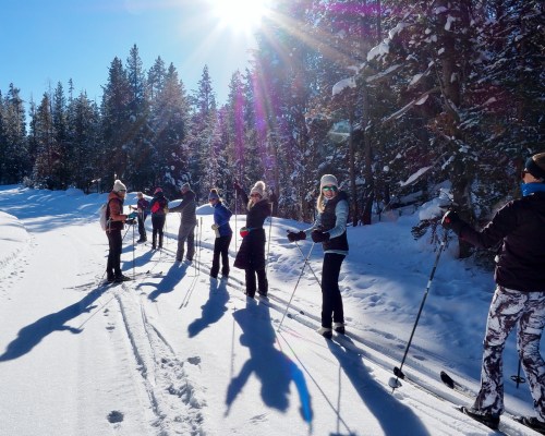 A group of people skiing in a snowy forest, with sunlight shining through the trees.