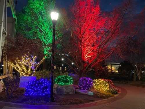 Colorful holiday lights illuminate trees and bushes in a park at night, creating a festive atmosphere.