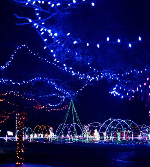 A colorful display of holiday lights illuminating trees and decorations in a festive outdoor setting at night.