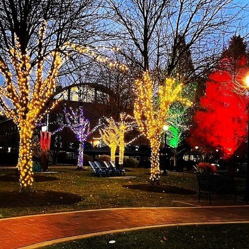 Colorful trees adorned with lights illuminate a park at dusk, creating a festive atmosphere.
