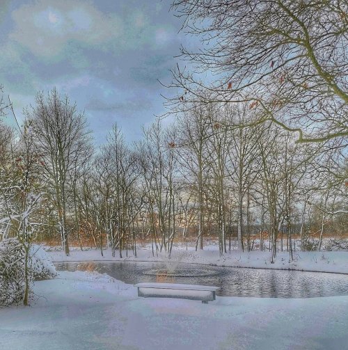 A serene winter scene with a snowy landscape, bare trees, and a calm pond under a cloudy sky.