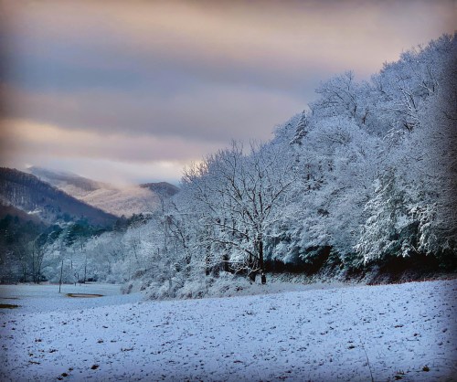 A serene winter landscape with snow-covered trees and mountains under a cloudy sky.