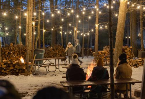 A cozy outdoor scene with people by a fire, string lights overhead, and snow-covered ground in a wooded area.