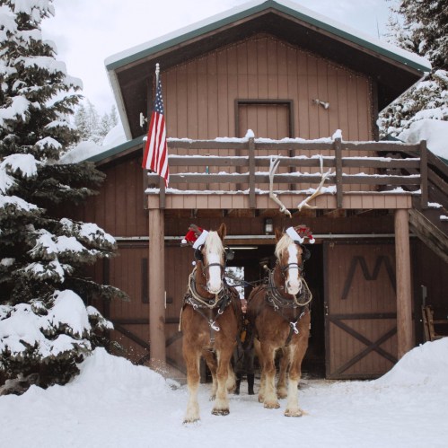 Two horses wearing festive decorations stand in front of a rustic wooden cabin surrounded by snow-covered trees.