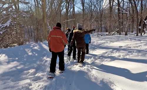 A group of people snowshoeing through a snowy forest, with trees and sunlight in the background.