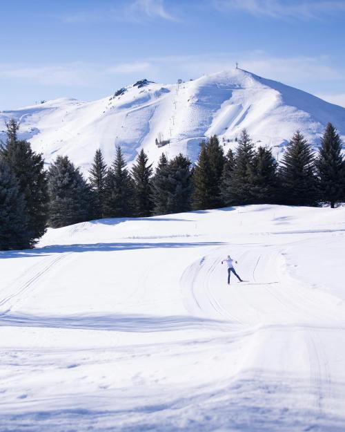 A skier glides across a snowy landscape with evergreen trees and a mountain in the background under a clear blue sky.
