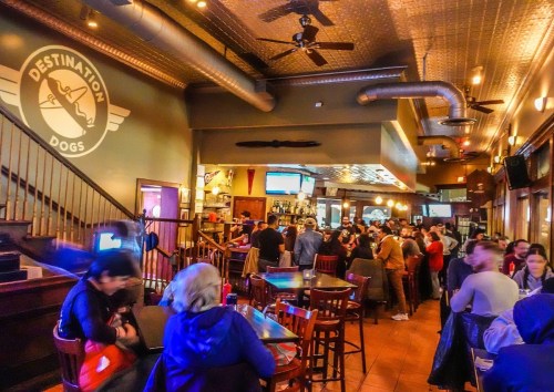 A lively bar scene with patrons enjoying food and drinks, featuring a staircase and a logo for "Destination Dogs."
