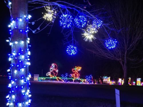 A tree adorned with blue and white lights, with colorful holiday displays glowing in the background at night.