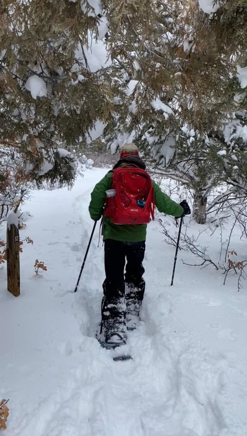 A person in a green jacket and red backpack snowshoes through a snowy trail surrounded by trees.