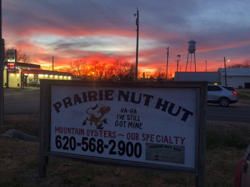 Sign for Prairie Nut Hut with a sunset in the background, advertising mountain oysters and a contact number.