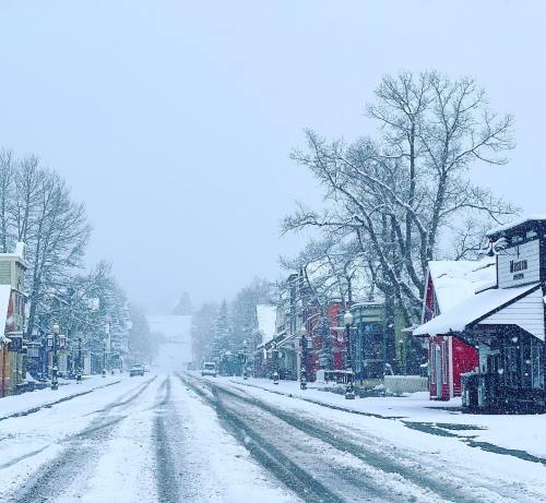 A snowy street lined with colorful buildings and bare trees, creating a serene winter scene.