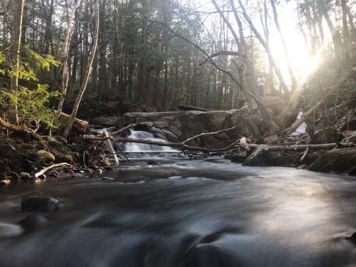 A serene forest scene with a flowing stream, rocks, and sunlight filtering through trees. A person stands in the background.