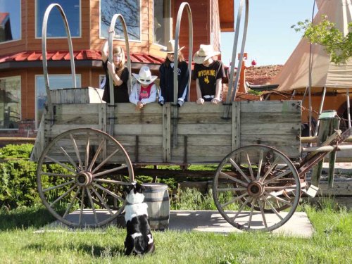 Children in cowboy hats play in a wooden wagon, while a dog watches them from the grass nearby.